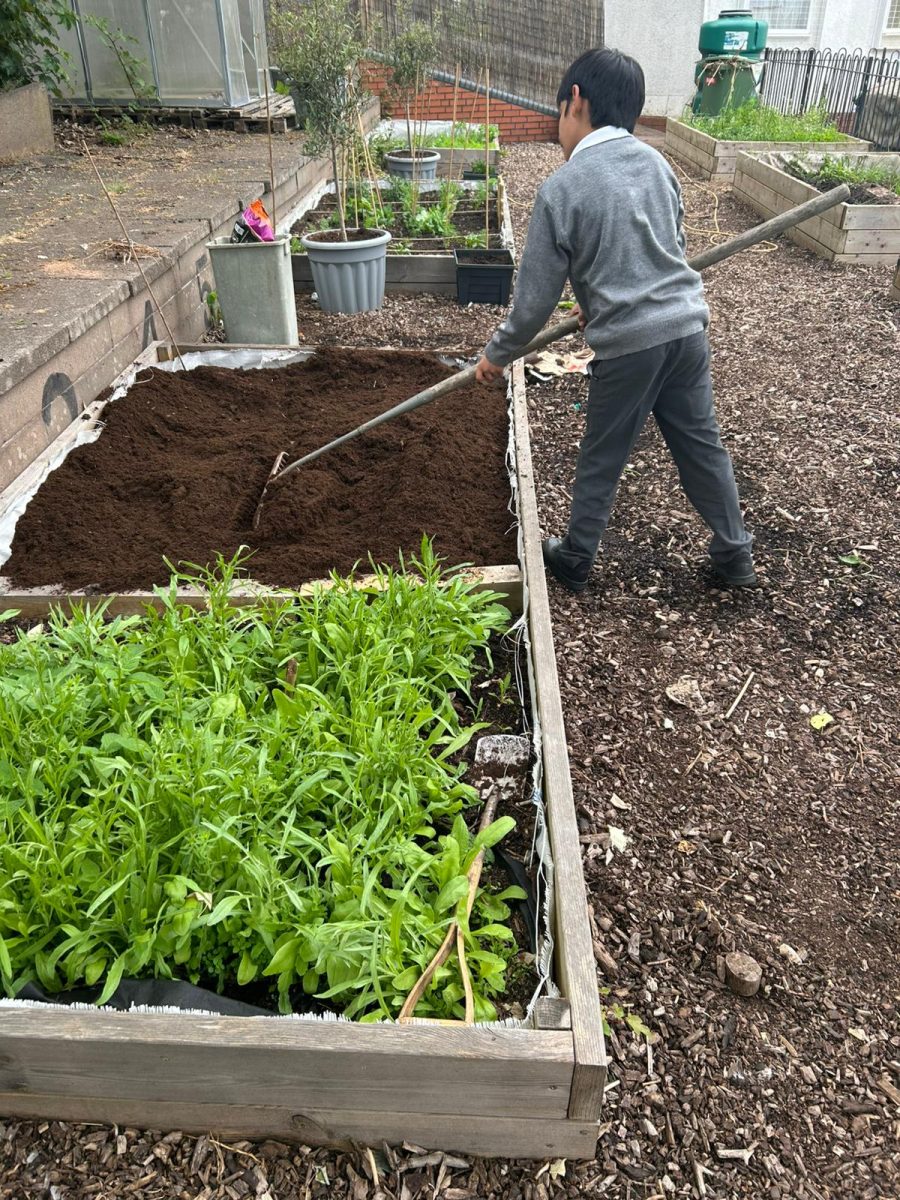 Allotment 3